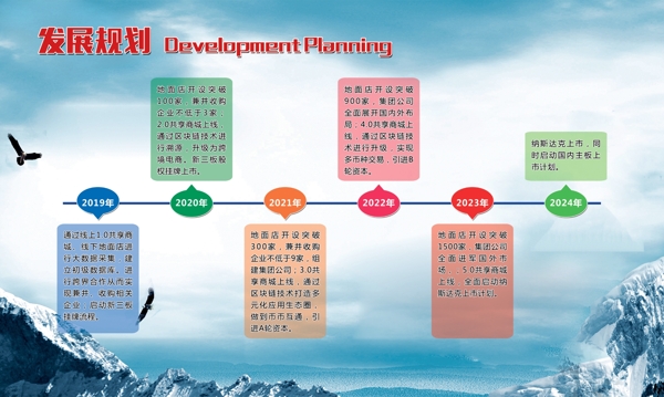 发展规划公司发展史