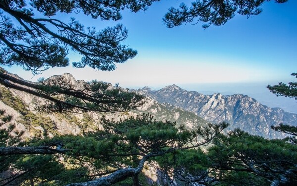 黃山