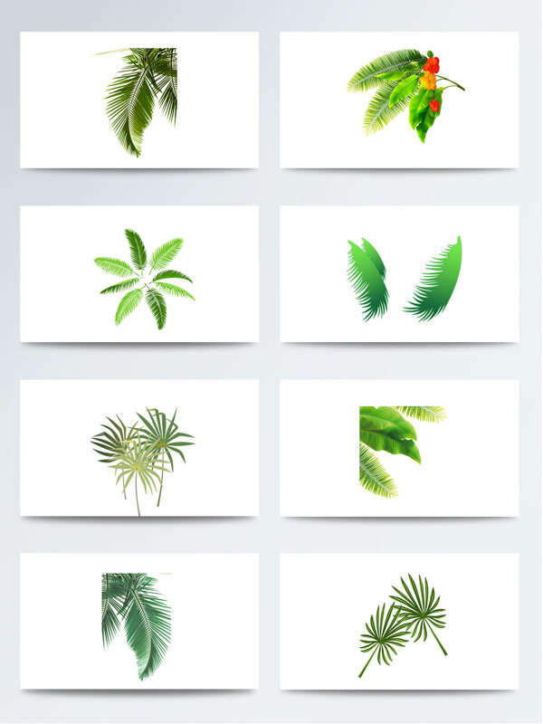质感椰子树叶PNG素材图