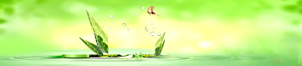 植物護(hù)膚清新背景banner