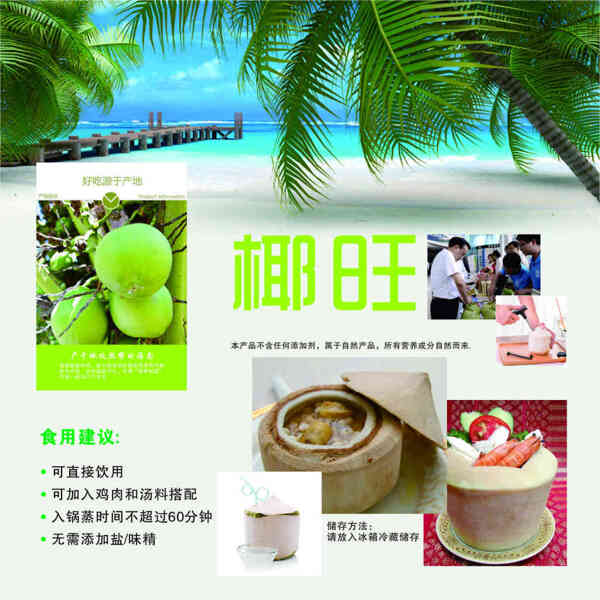 海南椰子賀卡