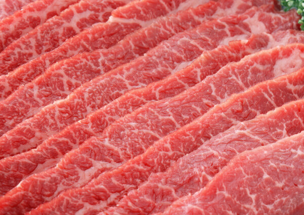 肉片圖