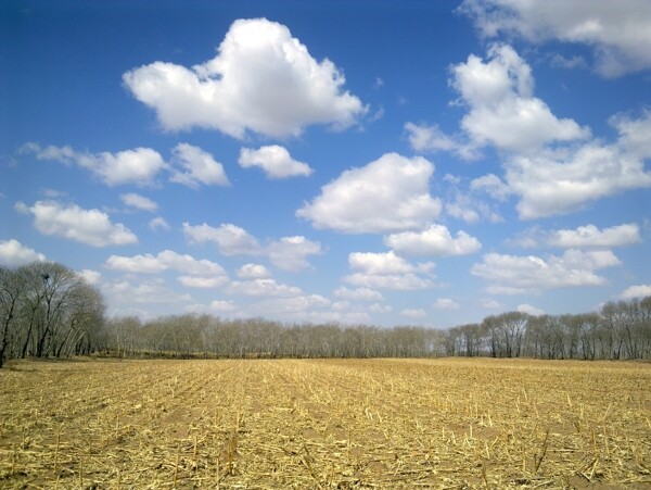 黄土地与蓝天白云图片