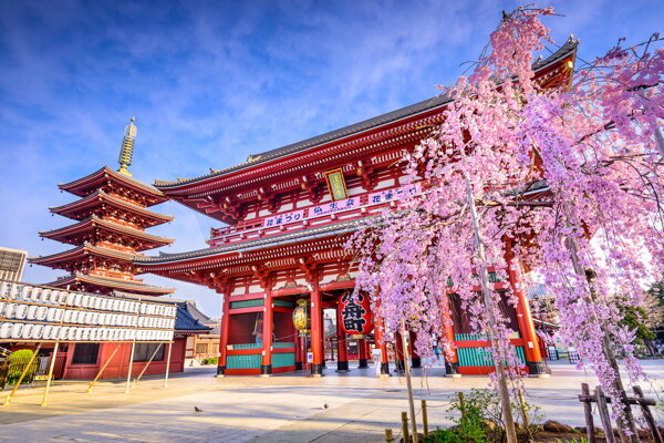 日本浅草寺