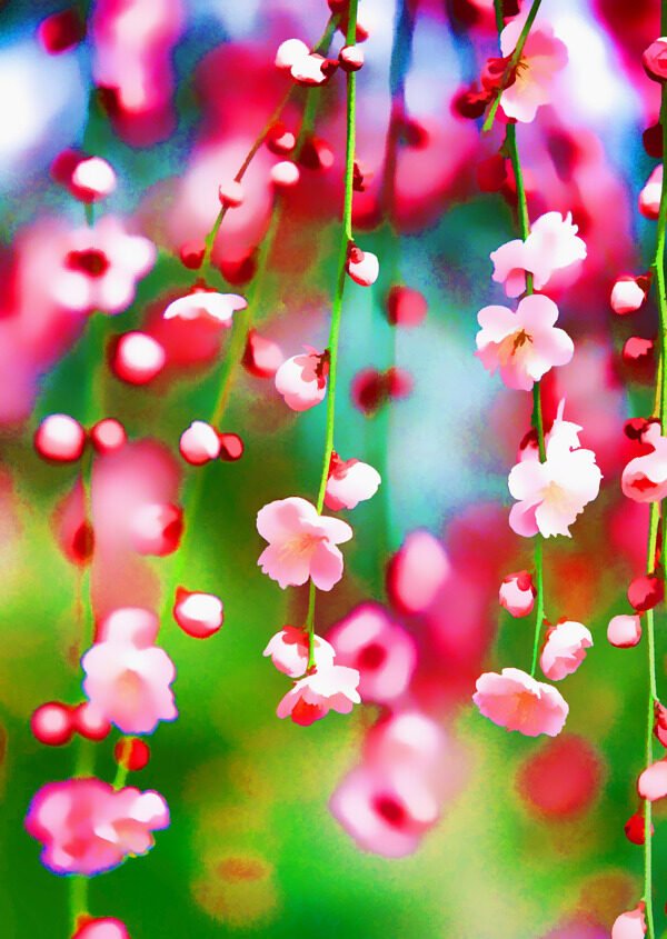 風(fēng)景裝飾畫圖片