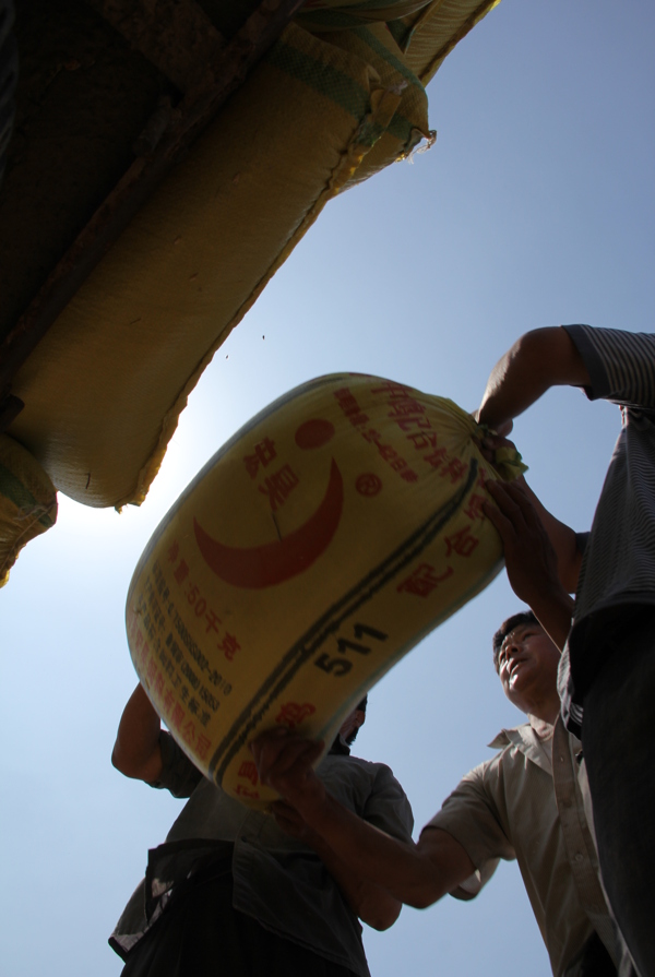 勞動人民圖片