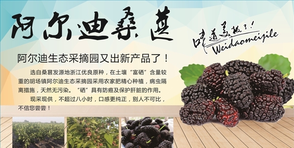 桑葚