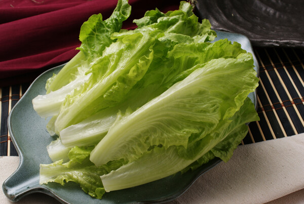 生菜
