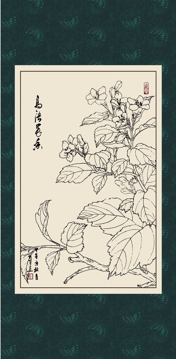 白描植物
