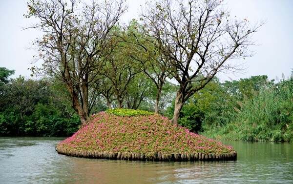 西溪湿地杭州风景