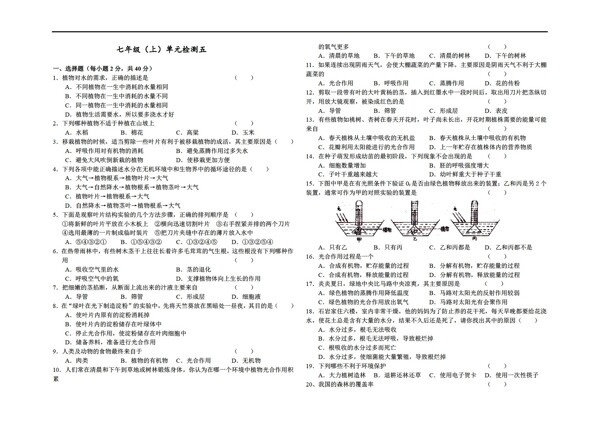 七年級上冊生物初中單元檢測五