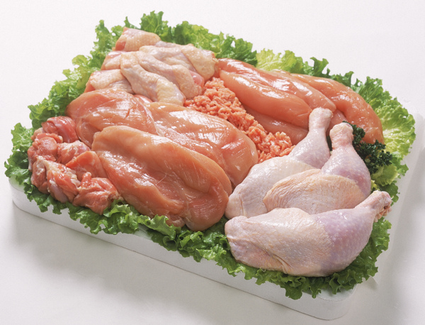 雞肉攝影圖片