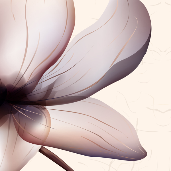 数码创意花朵图案装饰挂画高清图片