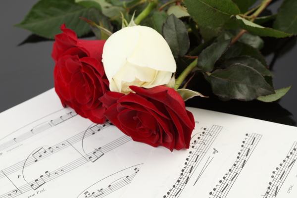 玫瑰花与乐谱图片