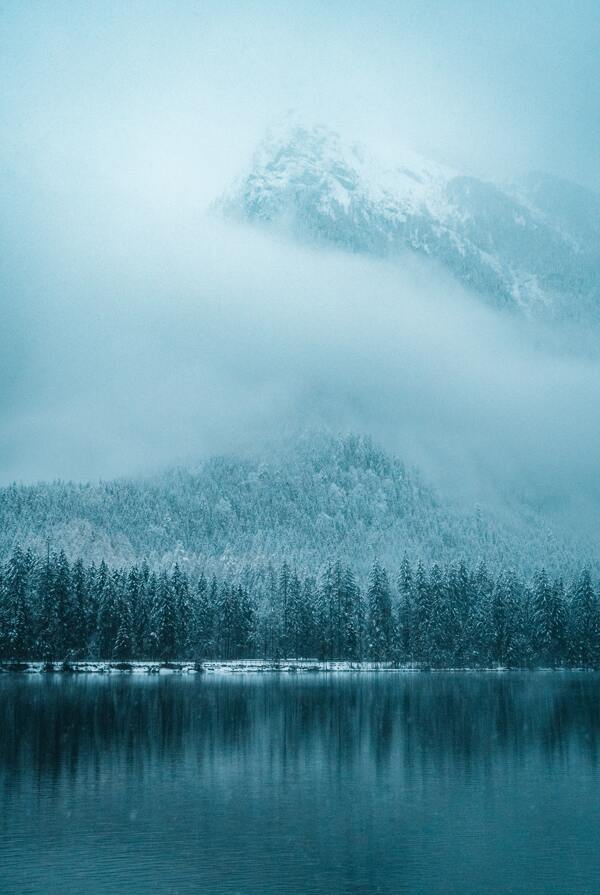 冬季森林雪山自然生态背景素材