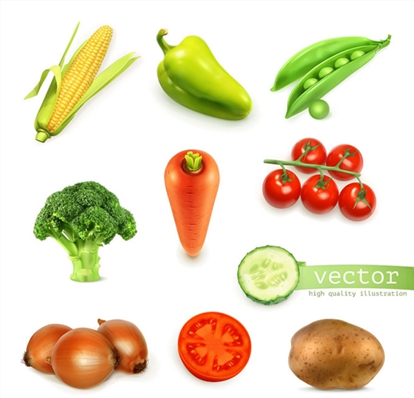蔬菜图标图片