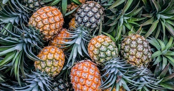 水果菠蘿