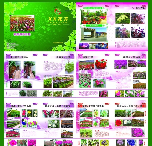 花卉市场花卉画册
