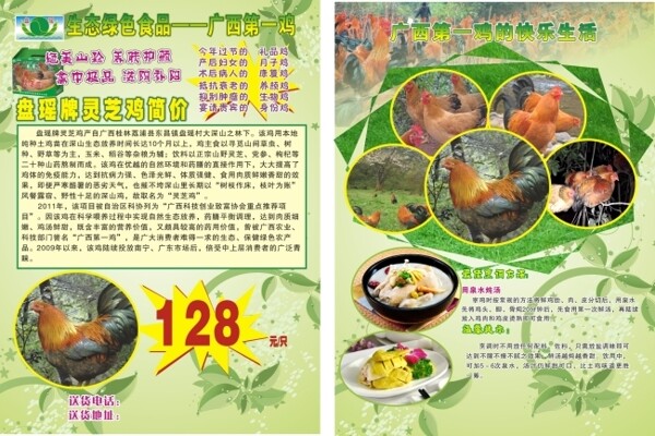 廣西第一雞DR宣傳單