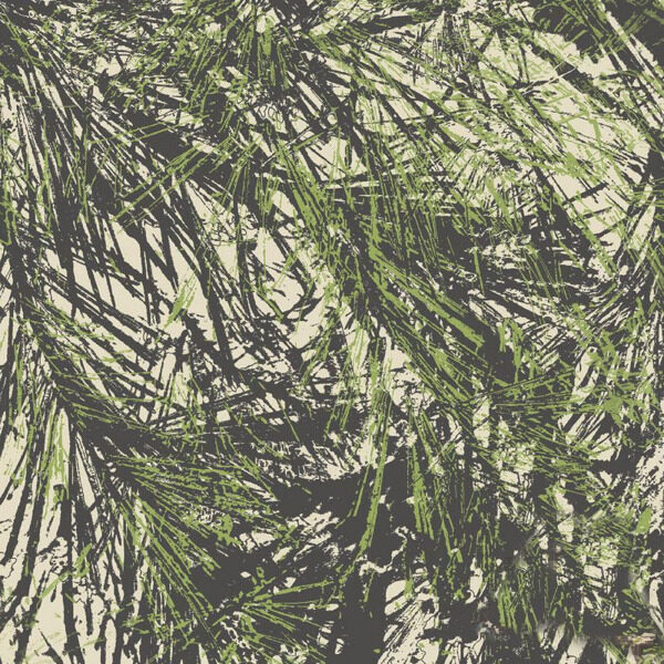 位圖休閑風(fēng)植物免費素材