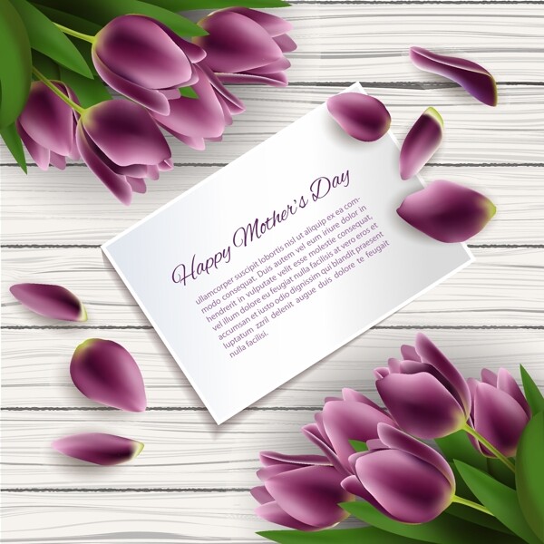 紫色郁金香卡片母亲节