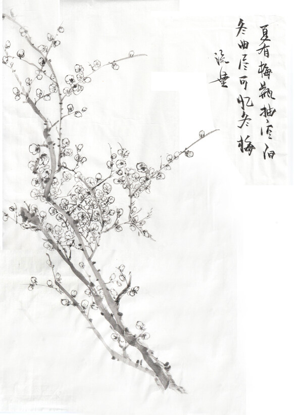 高清手繪植物圖片