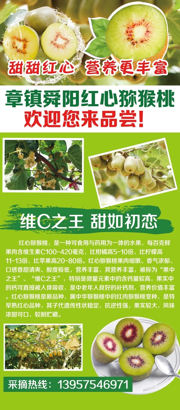 獼猴桃展架