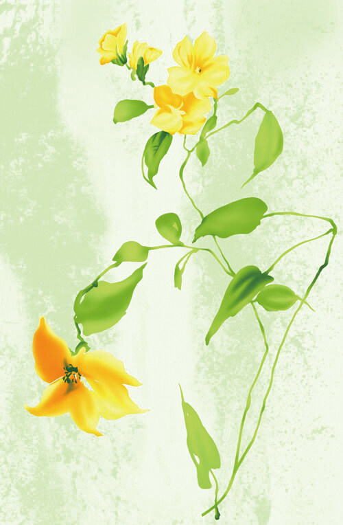 位圖植物寫意花卉花朵野花免費(fèi)素材