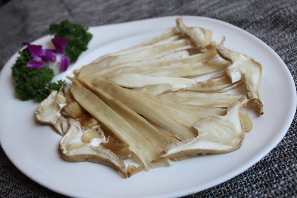 雞樅菌圖片