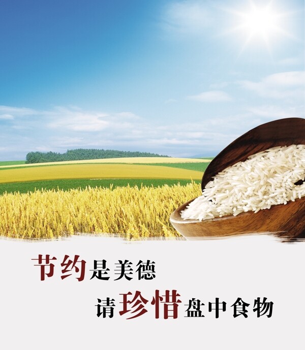 節(jié)約糧食圖片