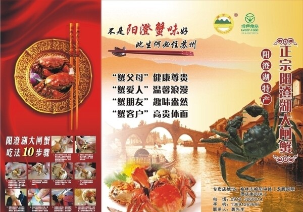 陽澄湖大閘蟹圖片