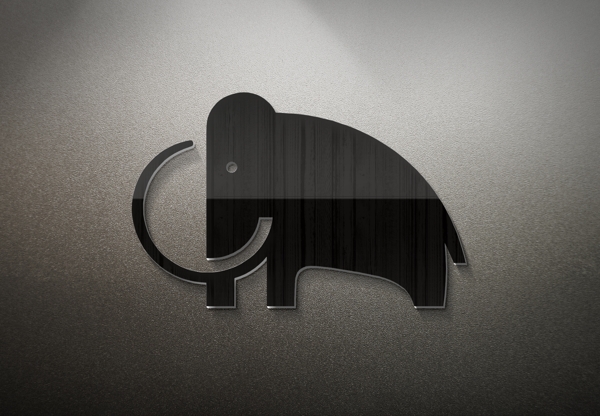 LOGO樣機(jī)素材0272