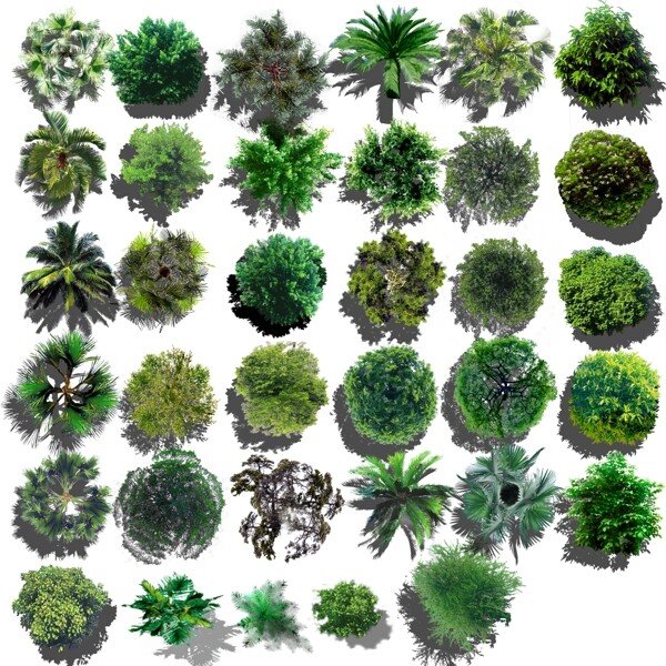 植物園林psd