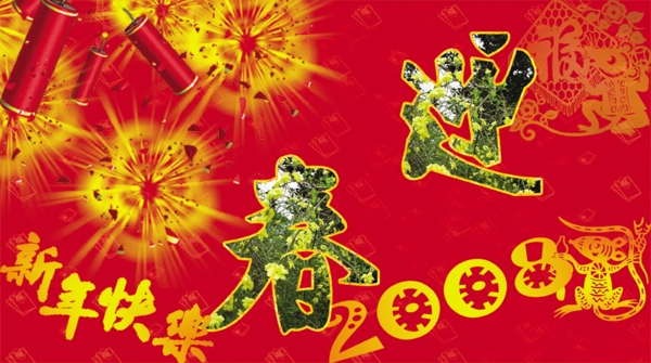 迎春圖片