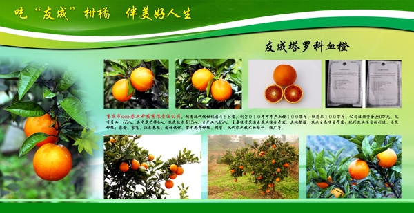 农业展板图片