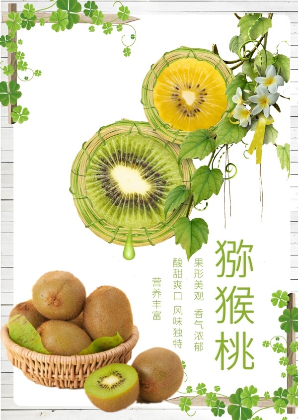 獼猴桃清新水果海報