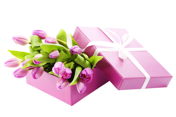 粉色郁金香花束礼盒图片