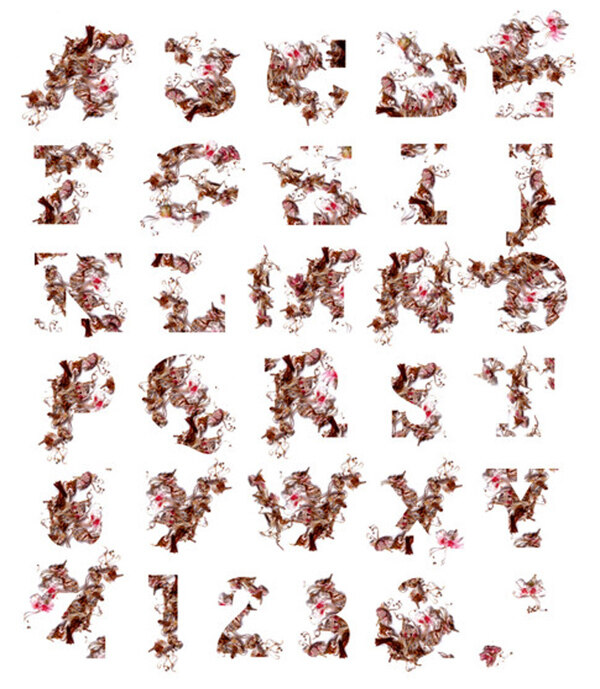 位圖個性文字字母色彩紅色免費(fèi)素材
