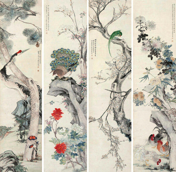 花鳥(niǎo)圖片