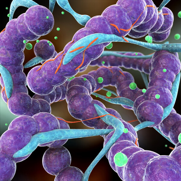 紫色连接病毒图片