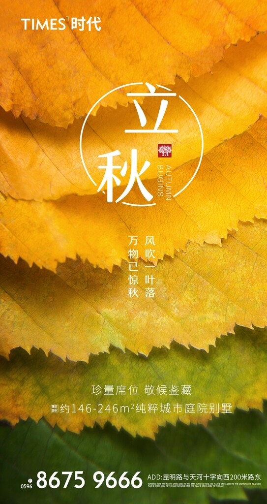 立秋