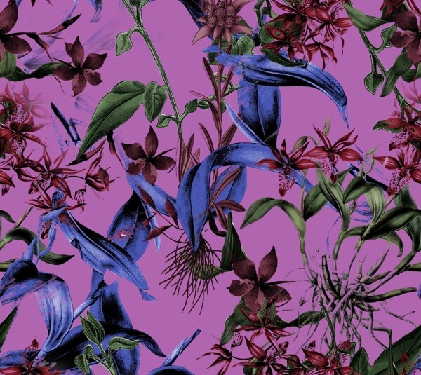 大牌花