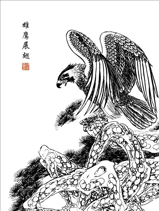 鷹白描圖片