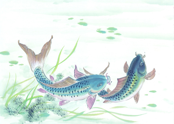 古圖繪畫(huà)動(dòng)物魚(yú)類(lèi)生物