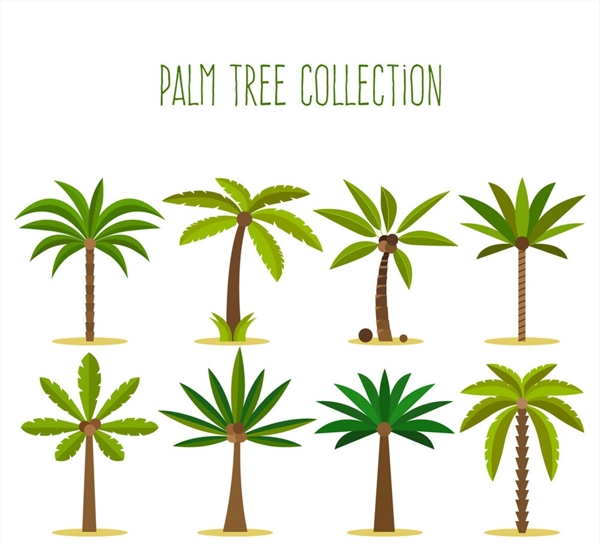绿色棕榈树设计矢量素材
