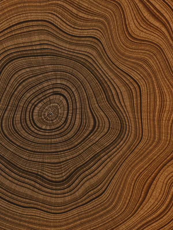 树木年轮木纹质感背景