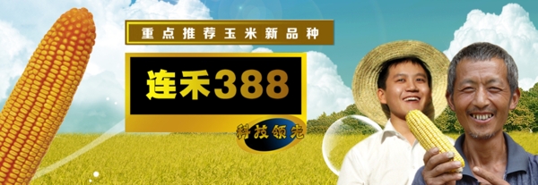 玉米種子banner