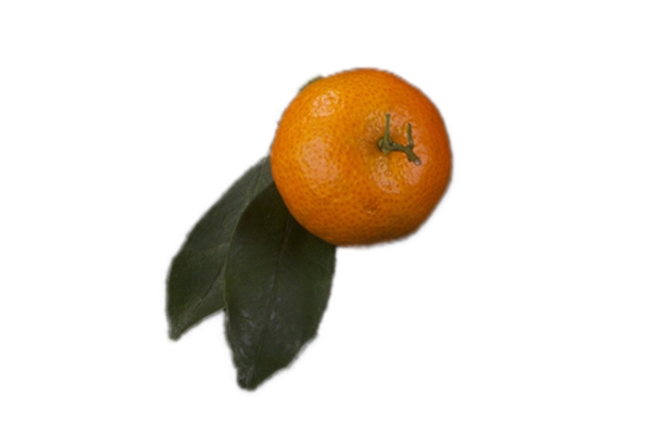 一个带绿色的橘子
