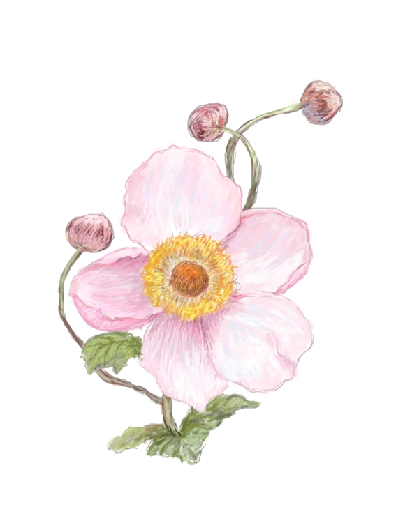 數(shù)碼印花圖案