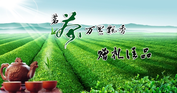 茶園